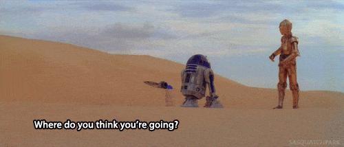 R2D2 and C3PO Arguing in the Desert
